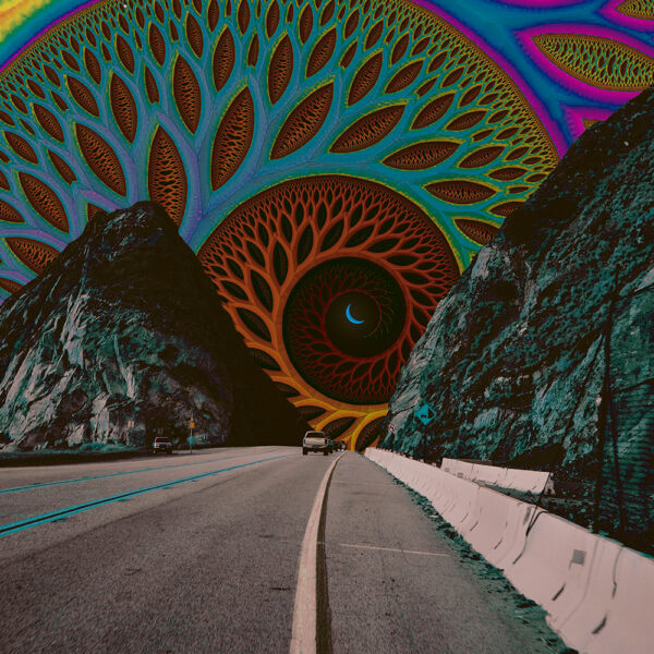 Entering, 2021 [SOLD OUT]