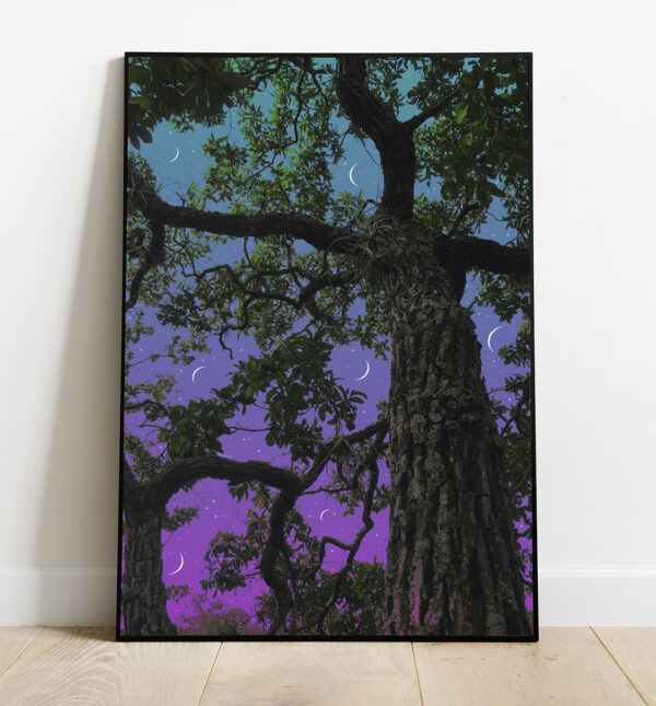 Moon Valley, 2019 [SOLD]