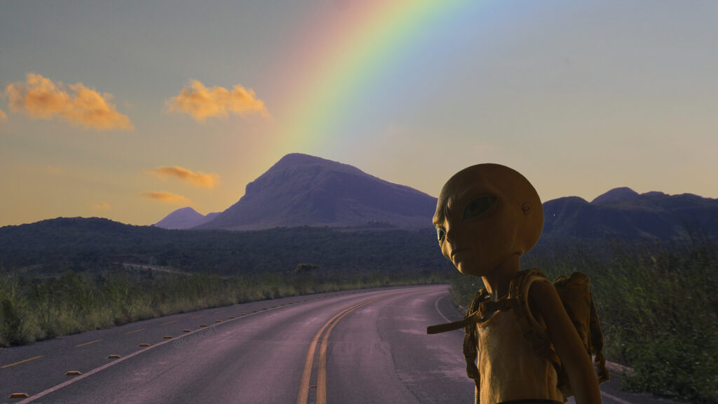 Visitor, 2019
