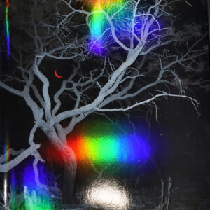 Through The Night, 2025 - Holographic Print