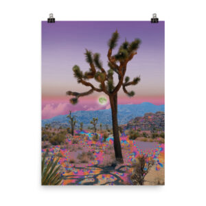 Desert Bloom, 2020 - Poster