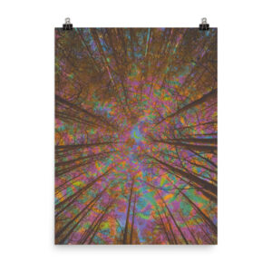 Natural Energy, 2020 - Poster